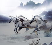 管理水平高，設(shè)計(jì) 、施工實(shí)力領(lǐng)先